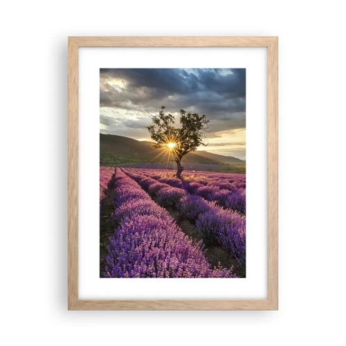 Poster in light oak frame - Lilac Coloured Aroma - 30x40 cm