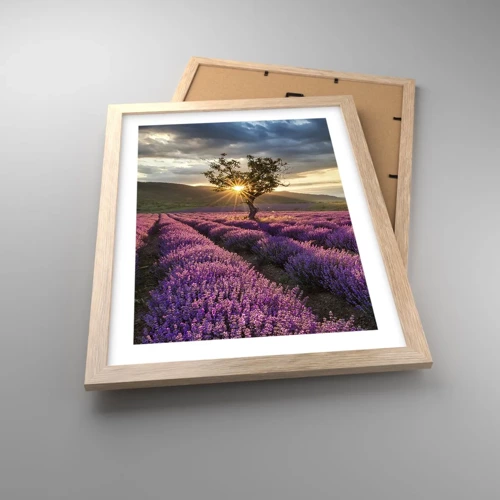 Poster in light oak frame - Lilac Coloured Aroma - 30x40 cm