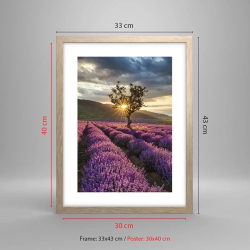 Poster in light oak frame - Lilac Coloured Aroma - 30x40 cm