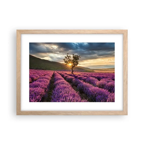 Poster in light oak frame - Lilac Coloured Aroma - 40x30 cm