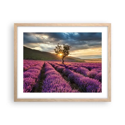 Poster in light oak frame - Lilac Coloured Aroma - 50x40 cm