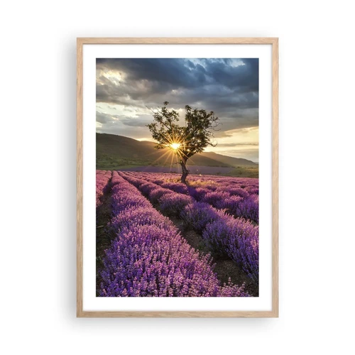 Poster in light oak frame - Lilac Coloured Aroma - 50x70 cm