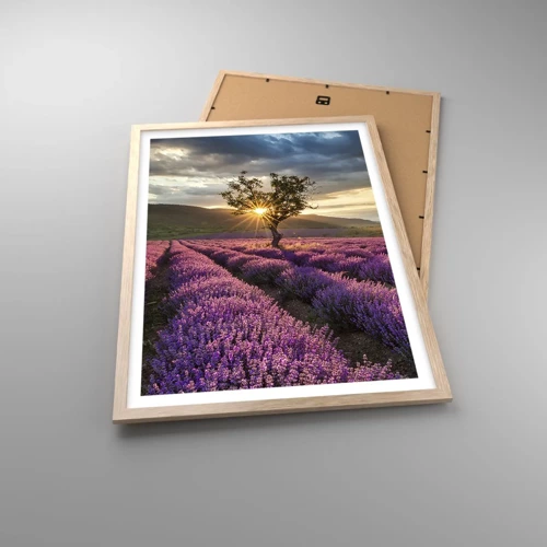 Poster in light oak frame - Lilac Coloured Aroma - 50x70 cm
