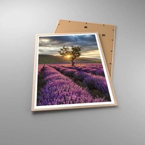 Poster in light oak frame - Lilac Coloured Aroma - 70x100 cm