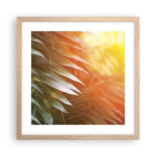 Poster in light oak frame - Morning in the Jungle - 40x40 cm