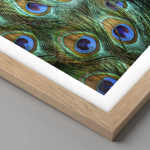 Poster in light oak frame - Peacock Eyes - 100x70 cm