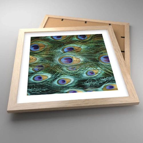 Poster in light oak frame - Peacock Eyes - 30x30 cm