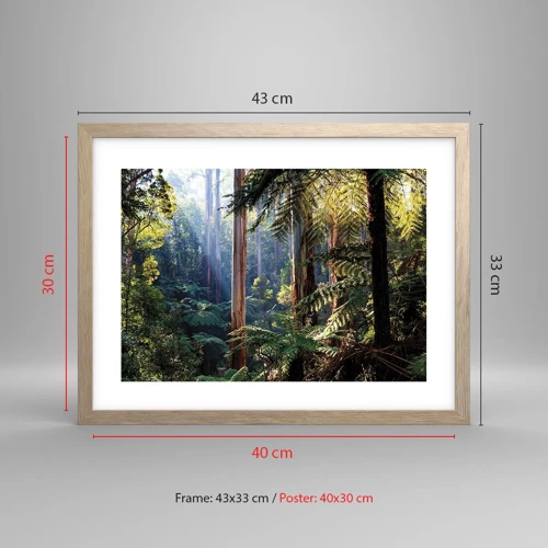 Poster in light oak frame - Tale of a Forest - 40x30 cm