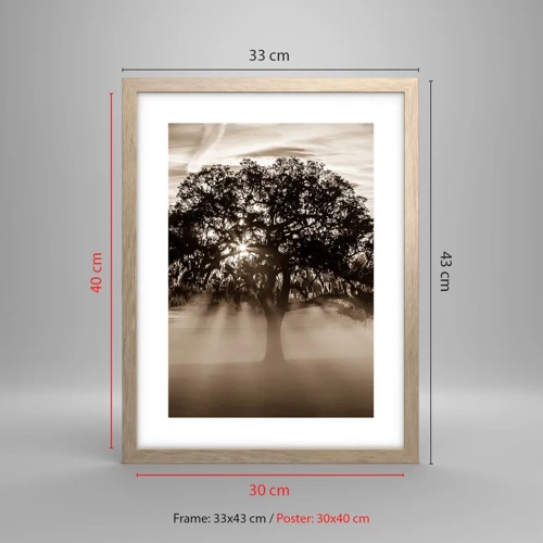 Poster in light oak frame - Tree of Good Knowledge - 30x40 cm
