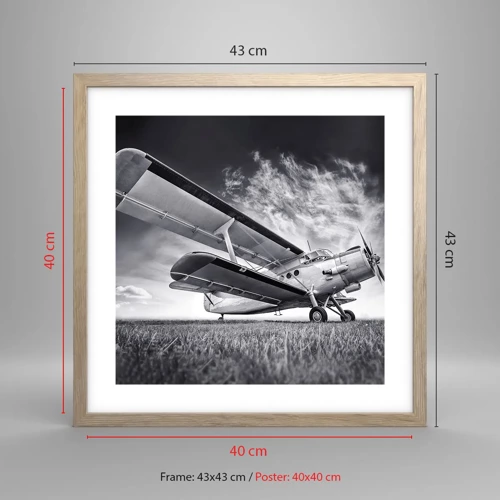 Poster in light oak frame - Winged Pilgrim - 40x40 cm