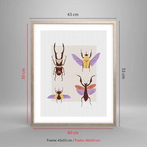 Poster in light oak frame - World of Insects - 40x50 cm