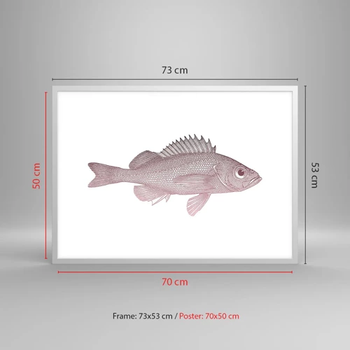 Poster in white frmae - Big-eyed Fish - 70x50 cm