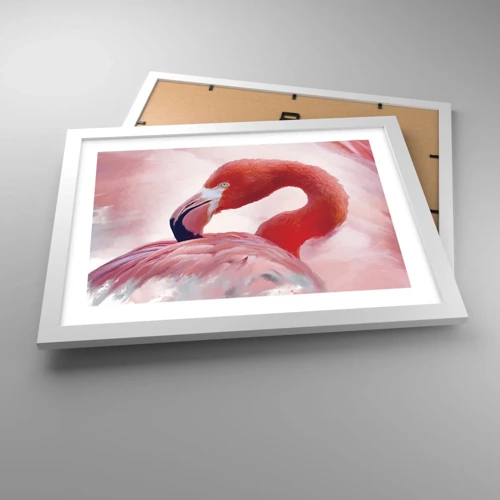 Poster in white frmae - Bird Look - 40x30 cm