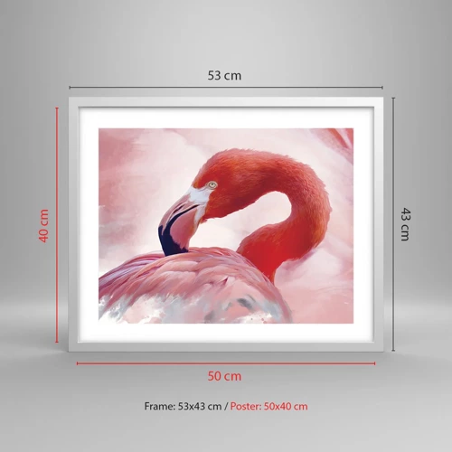 Poster in white frmae - Bird Look - 50x40 cm