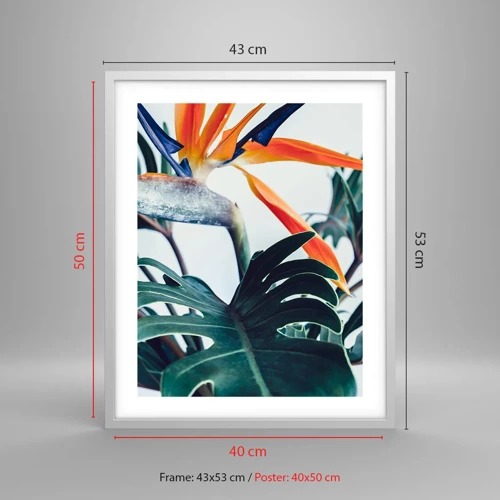 Poster in white frmae - Birdy Bush - 40x50 cm