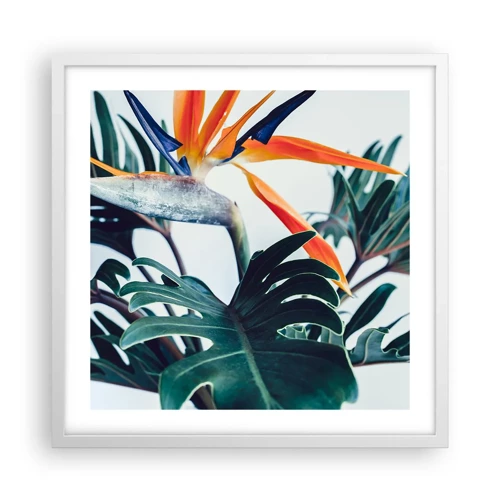 Poster in white frmae - Birdy Bush - 50x50 cm