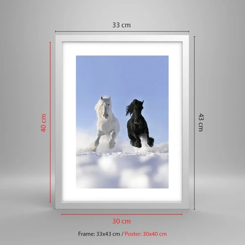 Poster in white frmae - Black and White Gallop - 30x40 cm