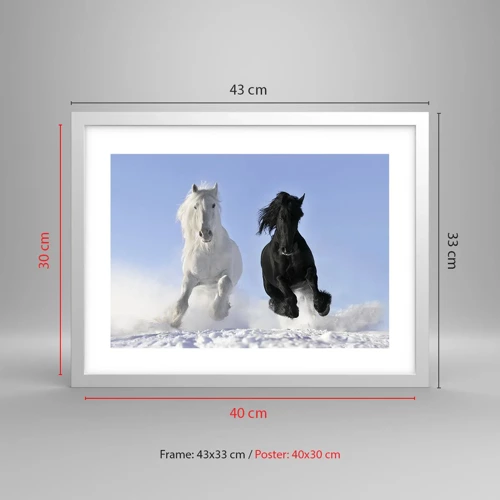 Poster in white frmae - Black and White Gallop - 40x30 cm