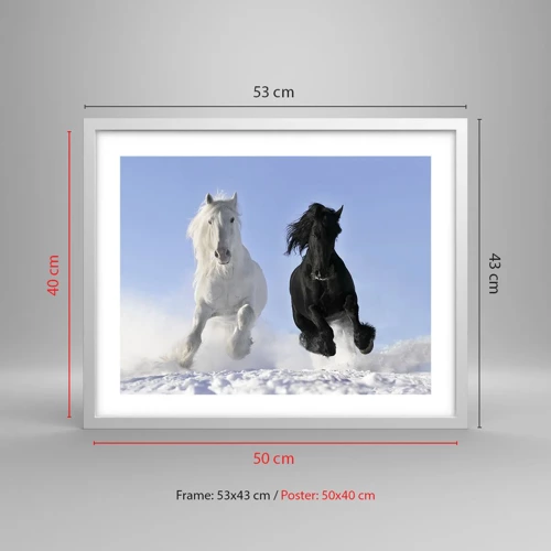 Poster in white frmae - Black and White Gallop - 50x40 cm