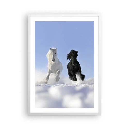 Poster in white frmae - Black and White Gallop - 50x70 cm