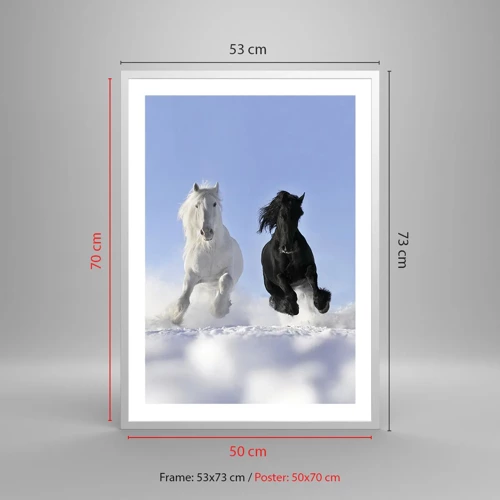 Poster in white frmae - Black and White Gallop - 50x70 cm