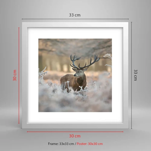 Poster in white frmae - Chilly Morning - 30x30 cm