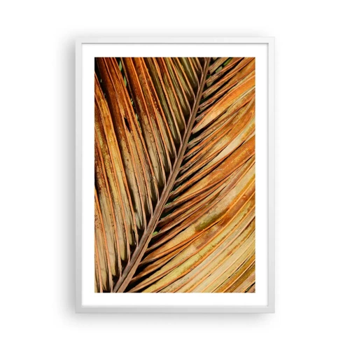Poster in white frmae - Coconut Gold - 50x70 cm