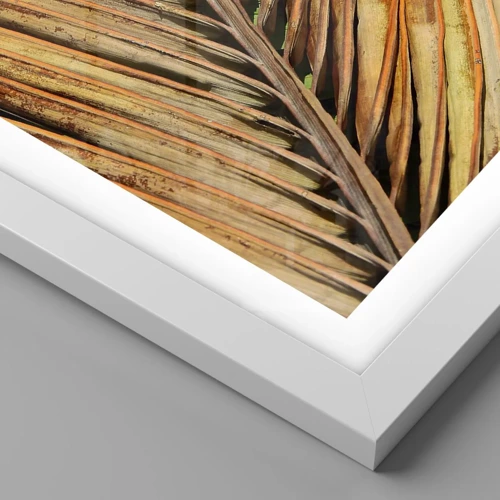 Poster in white frmae - Coconut Gold - 70x100 cm