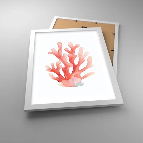 Poster in white frmae - Coral Colour Colars - 30x40 cm