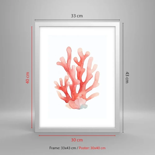 Poster in white frmae - Coral Colour Colars - 30x40 cm