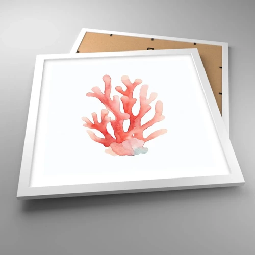 Poster in white frmae - Coral Colour Colars - 40x40 cm