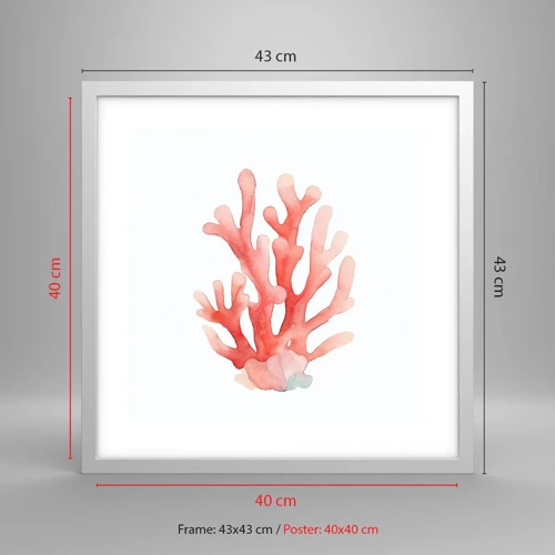 Poster in white frmae - Coral Colour Colars - 40x40 cm