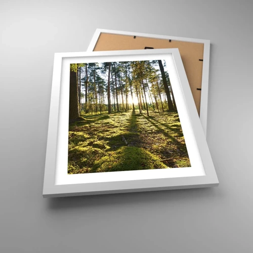 Poster in white frmae - Deep in the Forest - 30x40 cm