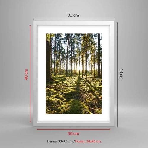 Poster in white frmae - Deep in the Forest - 30x40 cm