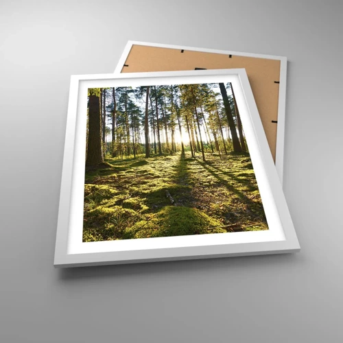 Poster in white frmae - Deep in the Forest - 40x50 cm