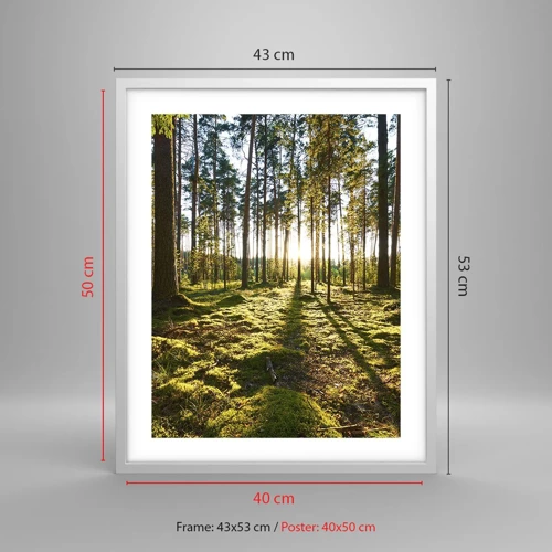 Poster in white frmae - Deep in the Forest - 40x50 cm