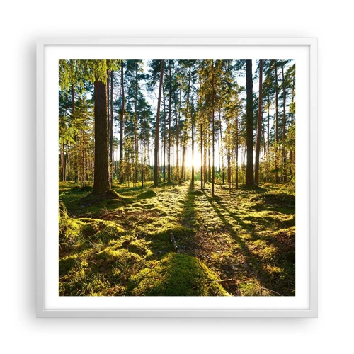 Poster in white frmae - Deep in the Forest - 60x60 cm