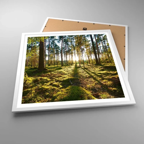 Poster in white frmae - Deep in the Forest - 60x60 cm