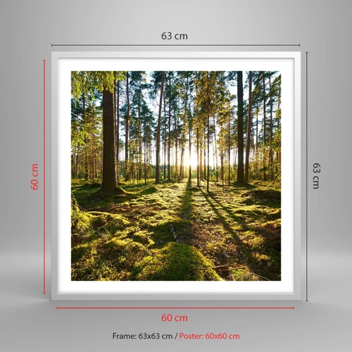 Poster in white frmae - Deep in the Forest - 60x60 cm