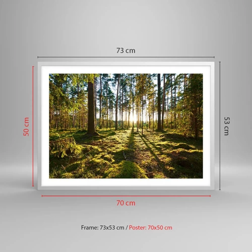 Poster in white frmae - Deep in the Forest - 70x50 cm