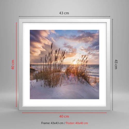 Poster in white frmae - Farewell to the Sun and Wind - 40x40 cm