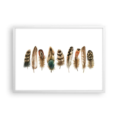 Poster in white frmae - Feather Variation - 70x50 cm