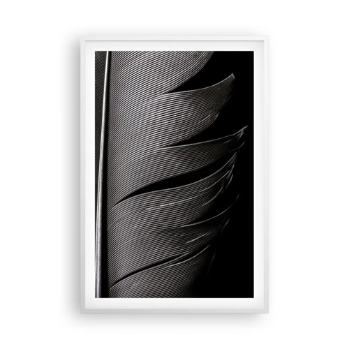 Poster in white frmae - Feather - Wonderful Constract - 61x91 cm