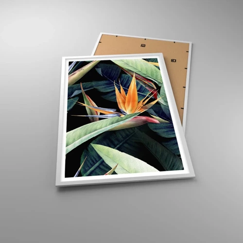 Poster in white frmae - Flaming Flowers of the Tropics - 61x91 cm