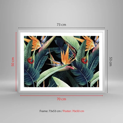 Poster in white frmae - Flaming Flowers of the Tropics - 70x50 cm