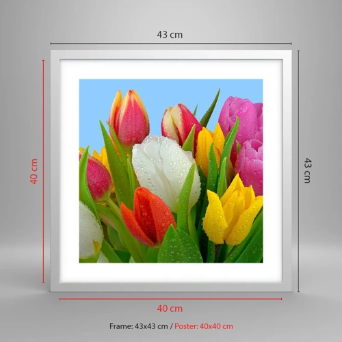 Poster in white frmae - Floral Rainbow in Dew Drops - 40x40 cm