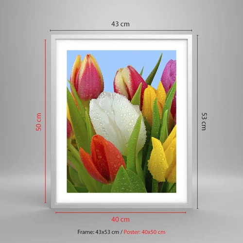 Poster in white frmae - Floral Rainbow in Dew Drops - 40x50 cm