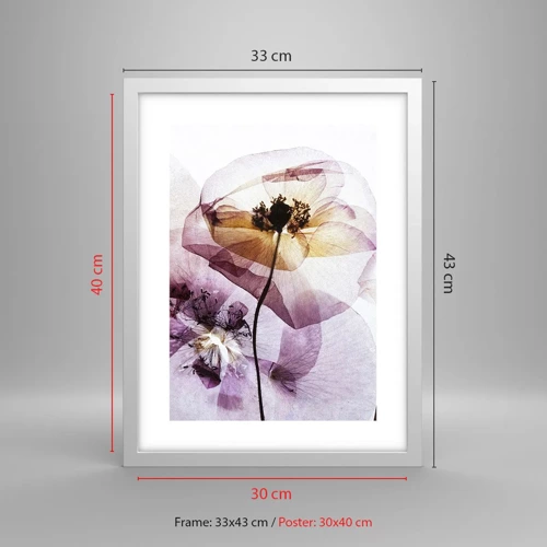 Poster in white frmae - Flower Body Slide - 30x40 cm