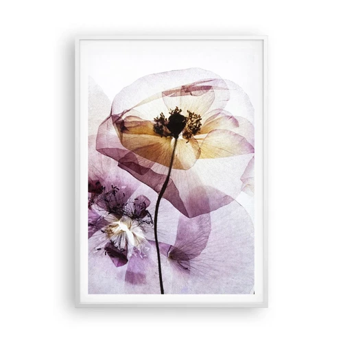 Poster in white frmae - Flower Body Slide - 70x100 cm