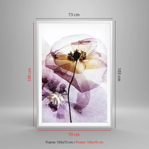 Poster in white frmae - Flower Body Slide - 70x100 cm